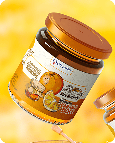 Quinari - Agência de Design Gráfico em Curitiba