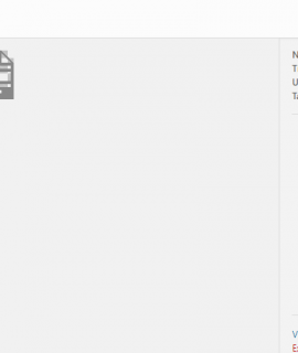 Inserindo arquivos para download no WordPress